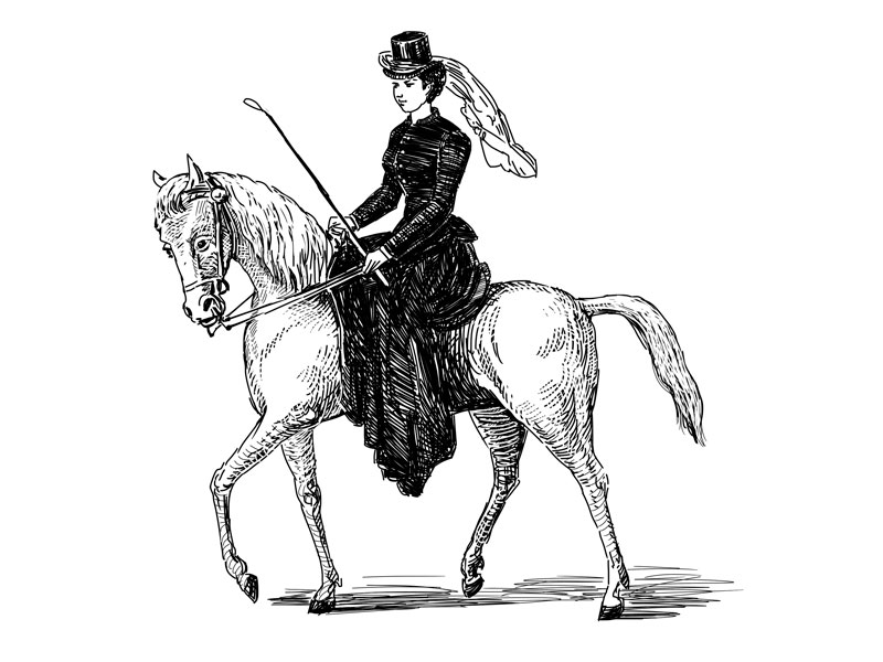 dressage